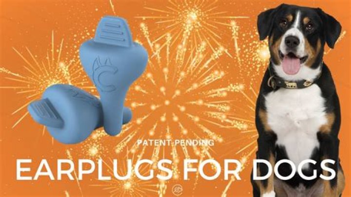 5 Best earplugs for dogs and pets during firework displays Thu 21 October 2021 16:53 Celine