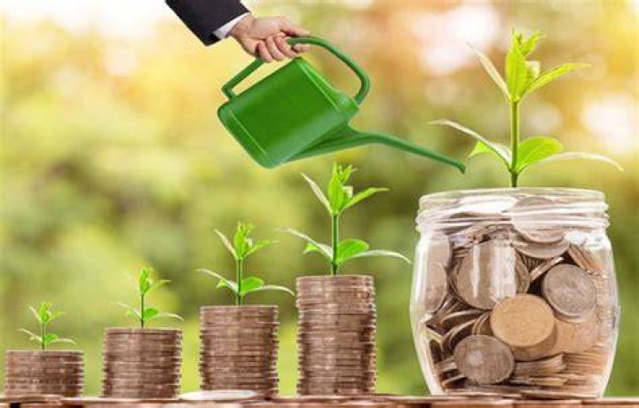 A Comprehensive Guide To Savings