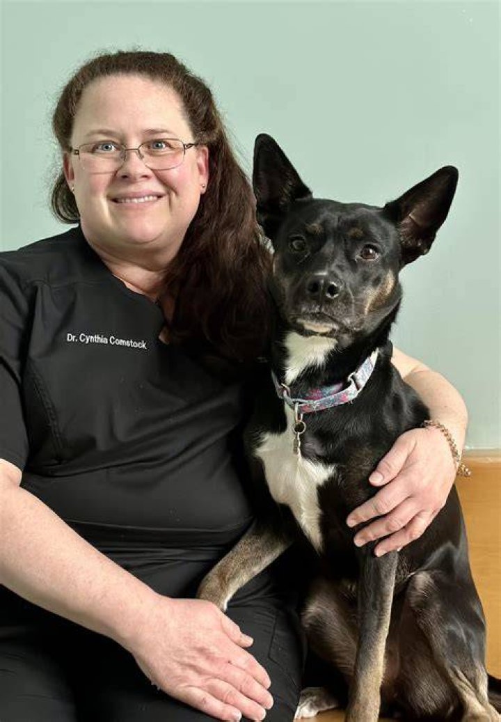 Cynthia was a well-liked veterinarian and had worked in the Kansas City area at several different animal hospitals, before moving to Burlington, which is located just 30 miles from the Kansas state line near I 70