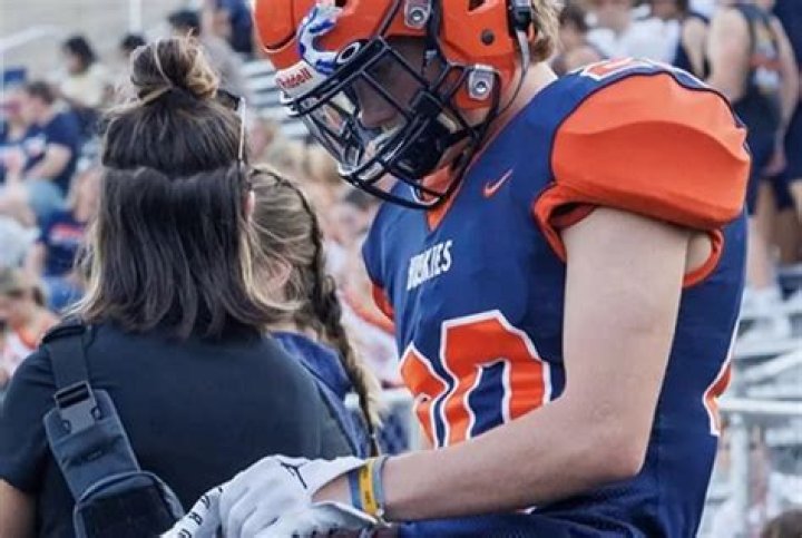 Naperville North High School Sean Van Dinther Suicide Linked To Death: Obituary |