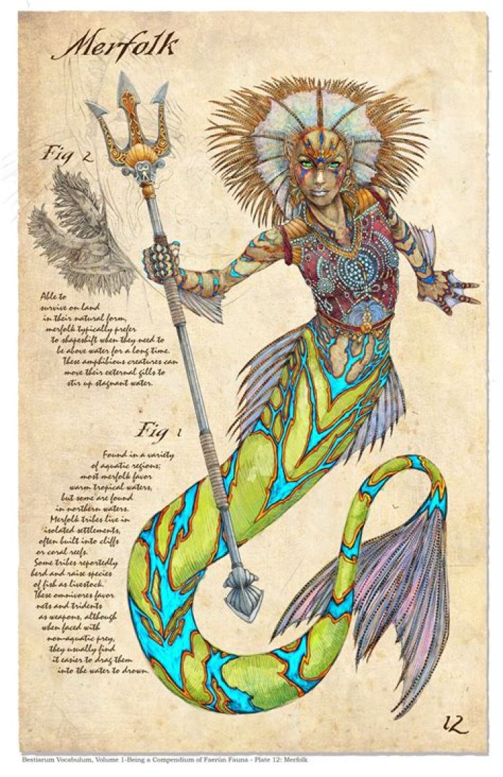 The mesmerizing mythology of merfolk