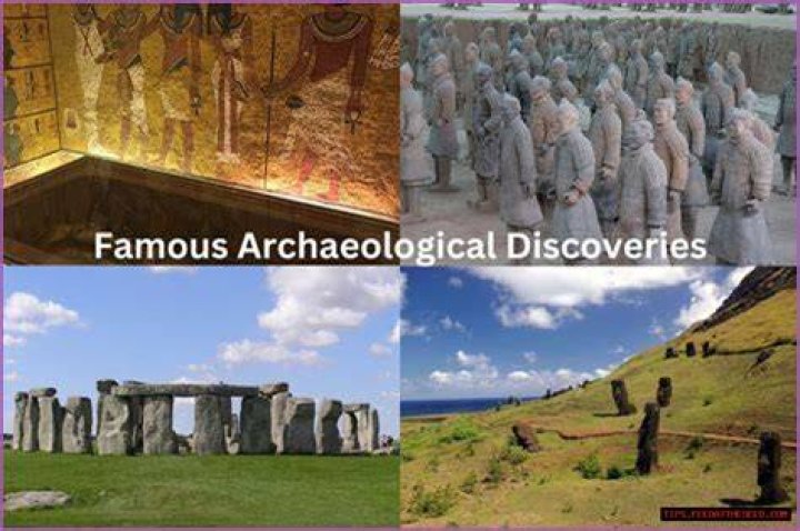 Unveiling The World Of Rose Bertram: Discoveries And Insights